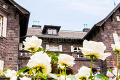 バラと洋館,バラ,薔薇,ばら,洋館,旧古河庭園,ジョサイア,ミステリー,北区,都立庭園,名所,国有財産,名勝,春,ローズ,rose,spring,tokyo,庭,庭園,西洋,洋風,西洋館,洋風庭園,洋式庭園,上中里,バラ園