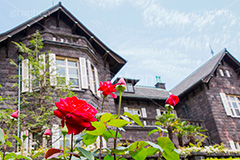 バラと洋館,バラ,薔薇,ばら,洋館,旧古河庭園,ジョサイア,ミステリー,北区,都立庭園,名所,国有財産,名勝,春,ローズ,rose,spring,tokyo,庭,庭園,西洋,洋風,西洋館,洋風庭園,洋式庭園,上中里,バラ園