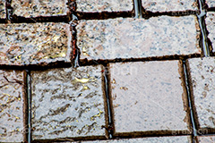 雨の日の地面,地面,タイル,雨の日,雨,あめ,梅雨,つゆ,水滴,雨粒,小雨,rain,tile,レイン,滑る,濡れ