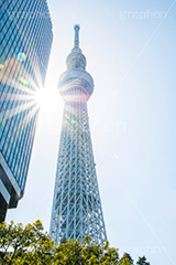 逆光スカイツリー,逆光,太陽,フレア,スカイツリー,東京スカイツリー,TOKYO SKYTREE,墨田区,押上,電波塔,634,634メートル,634m,塔,電線,真下,見上げ,flare,tower,タワー,青空