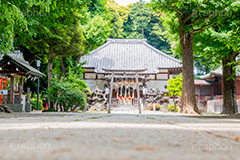 平塚神社,ひらつかじんじゃ,神社,参拝,お参り,北区,上中里,甲冑塚古墳,古墳,菅原神社,稲荷神社,石室神社,鳥居,石畳,japan