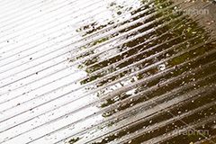 雨の日,地面,落ち葉,濡れ,雨,梅雨,つゆ,水溜り,水たまり,rain,雨粒,波紋,木目