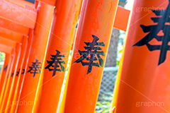 花園稲荷神社,はなぞのいなりじんじゃ,神社,参拝,お参り,上野,上野公園,台東区,五條天神社,鳥居,japan,上野恩賜公園