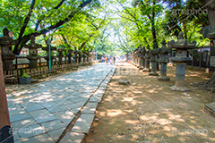 上野東照宮,うえのとうしょうぐう,台東区,上野恩賜公園,上野公園,神社,参拝,お参り,東照宮,文化財,japan,灯籠