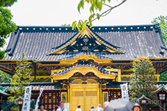上野東照宮,うえのとうしょうぐう,台東区,上野恩賜公園,上野公園,神社,参拝,お参り,東照宮,文化財,japan,gold,唐門,金
