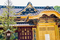 上野東照宮,うえのとうしょうぐう,台東区,上野恩賜公園,上野公園,神社,参拝,お参り,東照宮,文化財,japan,gold,唐門,金