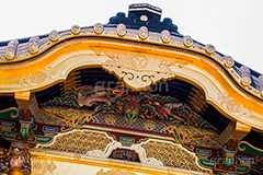 上野東照宮,うえのとうしょうぐう,台東区,上野恩賜公園,上野公園,神社,参拝,お参り,東照宮,文化財,japan,gold,金