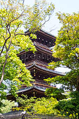 上野東照宮,うえのとうしょうぐう,台東区,上野恩賜公園,上野公園,神社,参拝,お参り,東照宮,文化財,japan,五重塔,五重の塔,塔
