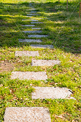 公園の石畳,石畳,石,敷,地面,公園,道,小道,雑草,草木,自然,遊歩道