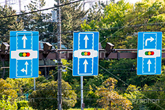 選択,道路,道,看板,標示,表記,矢印,方向,決める,曲がる,右折,交通