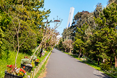 夢の島公園,公園,夢の島,人工島,東京湾,江東区,埋立地,埋め立て,park,olympic,自然,散歩,オリンピック,新木場,自然,草木