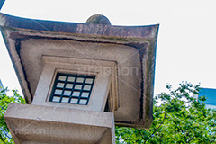 青山通り,表参道,並木,並木道,ケヤキ並木,参道,神宮前,大通り,渋谷区,青山,高級ブランド,旗艦店,買い物,ショッピング,ショップ,shop,shopping,brand,灯篭