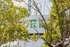 表参道,青山通り,ラフォーレ,原宿,並木,並木道,ケヤキ並木,参道,神宮前,大通り,渋谷区,青山,高級ブランド,旗艦店,買い物,ショッピング,ショップ,shop,shopping,brand