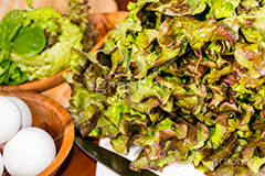 瑞々しいサニーレタス,瑞々しい,みずみずしい,水滴,新鮮,野菜,健康,サラダ,前菜,サニーレタス,レタス,葉レタス,非結球型,リーフレタス,チリメンチシャ,アカチリメンチシャ,赤縮緬萵苣,レッドレタス,たまご,卵,玉子,キッチン,台所,クッキング,kitchen,cooking