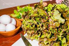 瑞々しいサニーレタス,瑞々しい,みずみずしい,水滴,新鮮,野菜,健康,サラダ,前菜,サニーレタス,レタス,葉レタス,非結球型,リーフレタス,チリメンチシャ,アカチリメンチシャ,赤縮緬萵苣,レッドレタス,たまご,卵,玉子,キッチン,台所,クッキング,kitchen,cooking