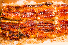 うな重,土用の丑の日,ウナギ,鰻重,うなぎ,鰻,土用,丑の日,蒲焼,かば焼き,夏,和食,日本食,日本料理,お重,ごはん,ご飯,スタミナ,性,季節感,japan,rice,照り,ツヤ,たれ,タレ,サマー,summer