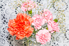 母の日,カーネーション,ナデシコ科,ナデシコ属,花,お花,春,フラワー,spring,flower,carnation,present,mother's day,花束,贈り物,プレゼント,かすみ草,ありがとう,感謝,お礼,母,お母さん,レース,テーブルコーディネート,花瓶