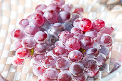 葡萄,ブドウ,ぶどう,季節感,フルーツ,fruit,dessert,デザート,水滴,洗い,果実,果物,実,甘酸っぱい,爽やか,フレッシュ,fresh