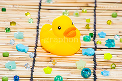 アヒルの玩具,出店,露店,屋台,夏祭り,祭り,景品,あひる,アヒル,鳥,くちばし,口ばし,おもちゃ,玩具,TOY,シュール,遊び,こども,子供,キッズ,水遊び,ビーズ,すだれ,簾,夏,サマー,summer,kids,beads