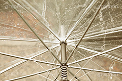 雨,あめ,梅雨,つゆ,水滴,雨粒,小雨,rain,レイン,ビニ傘,傘,かさ,使い捨て