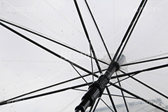 雨,あめ,梅雨,つゆ,水滴,雨粒,小雨,rain,レイン,ビニ傘,傘,かさ,使い捨て