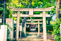 鳥居,トイカメラ撮影,トイカメラ,ヴィンテージ,ビンテージ,レトロ,お洒落,おしゃれ,オシャレ,味わい,トンネル効果,熊野神社,japan