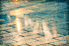 雨の日,トイカメラ撮影,トイカメラ,ヴィンテージ,ビンテージ,レトロ,お洒落,おしゃれ,オシャレ,味わい,トンネル効果,雨粒