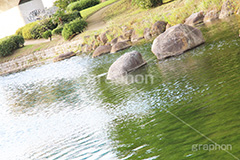 多摩川河川敷,河川敷,二子玉,二子玉川,玉川,にこたま,ニコタマ,世田谷区,川,河原,かわ,河川,水面,多摩川