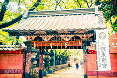 上野東照宮,トイカメラ撮影,トイカメラ,ヴィンテージ,ビンテージ,レトロ,お洒落,おしゃれ,オシャレ,味わい,トンネル効果,上野公園