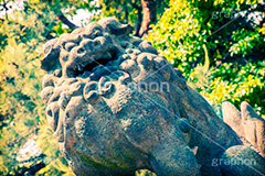 神社,トイカメラ撮影,トイカメラ,ヴィンテージ,ビンテージ,レトロ,お洒落,おしゃれ,オシャレ,味わい,トンネル効果,狛犬