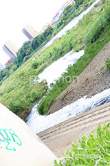 多摩川河川敷,河川敷,二子玉,二子玉川,玉川,にこたま,ニコタマ,世田谷区,川,河原,かわ,河川,多摩川