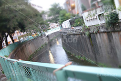 神田川,河,川,河川,柵,フェンス,川沿い