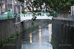 神田川,河,川,河川,柵,フェンス,川沿い,橋