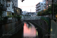 夕焼け,染,神田川,河,川,河川,柵,フェンス,川沿い,橋