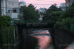 夕焼け,染,神田川,河,川,河川,柵,フェンス,川沿い