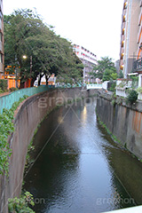 神田川,河,川,河川,柵,フェンス,川沿い