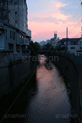 夕焼け,染,神田川,河,川,河川,柵,フェンス,川沿い