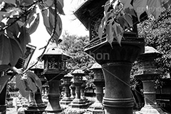 上野東照宮,モノクロ,白黒,しろくろ,モノクローム,単色画,単彩画,単色,上野,japan