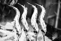 焼き魚,モノクロ,白黒,しろくろ,モノクローム,単色画,単彩画,単色,炉端