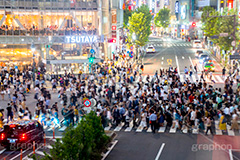 渋谷の雑踏,渋谷スクランブル交差点,渋谷,しぶや,観光,交差点,渋谷駅,駅前,スクランブル,外国人,海外,道玄坂,横断歩道,信号,雑踏,都会の雑踏,混む,混雑,人混み,人々,人物,渡る,歩く,夜,夜景,名所,都会,繫華街,夜の街,夜の町,japan,shibuya