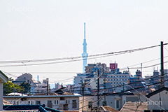 江戸川区の町並みとスカイツリー,江戸川,江戸川区,スカイツリー,skytree,民家,下町,tower,japan,タワー