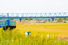 江戸川河川敷,江戸川,河川,河川敷,グラウンド,スポーツ,一級河川,歩道,散歩,ハイキング,ウォーキング,ランニング,草むら,雑草,葛飾区,江戸川区,野球,ベイスボール,草野球,少年野球,hiking,walking,sports,running,ground