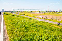 江戸川河川敷,江戸川,河川,河川敷,グラウンド,スポーツ,一級河川,歩道,散歩,ハイキング,ウォーキング,ランニング,草むら,雑草,葛飾区,江戸川区,野球,ベイスボール,草野球,少年野球,hiking,walking,sports,running,ground