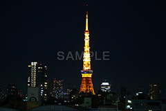 東京タワー,タワー,総合電波塔,電波,塔,日本電波塔,333m,とうきょうタワー,Tokyo Tower,港区,東京のシンボル,観光名所,六本木,ヒルズ,Roppongi Hills,夜景,ライトアップ,高層,ビル,キラキラ,夜,眠らない,街,japan