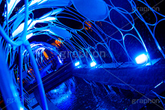 ミッドタウン夏のイルミネーション,夏,サマー,ミッドタウン,イルミネーション,summer,illumination,Tokyo Midtown,六本木,高層オフィスビル,高層,ビル,港区,building,office,商業施設