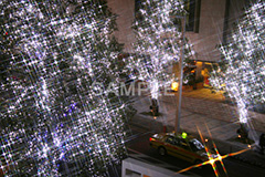 港区,観光名所,六本木,ヒルズ,Roppongi Hills,夜景,ライトアップ,高層,ビル,キラキラ,夜,けやきざか,けやき坂,イルミネーション,イルミ,LED,illumination,冬,ロマンチック,クロスフィルタ
