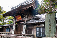 祐天寺,目黒,目黒区,中目黒,浄土宗,寺院,寺,参拝,お参り,temple,japan