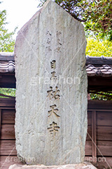 祐天寺,目黒,目黒区,中目黒,浄土宗,寺院,寺,参拝,お参り,temple,japan
