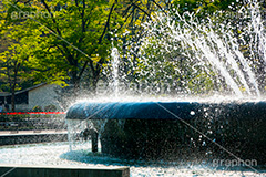 日比谷公園の噴水,噴水,日比谷公園,千代田区,日比谷,公園,都立公園,霞が関,有楽町,都会,オアシス,休憩,park,fountain,名所