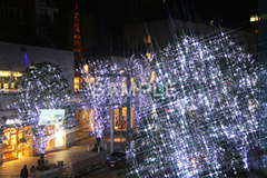 東京タワー,タワー,総合電波塔,電波,日本電波塔,港区,観光名所,六本木,ヒルズ,Roppongi Hills,夜景,ライトアップ,高層,ビル,キラキラ,夜,けやきざか,けやき坂,イルミネーション,イルミ,ロマンチックLED,冬,ブランド,ショッピング,japan,クロスフィルタ